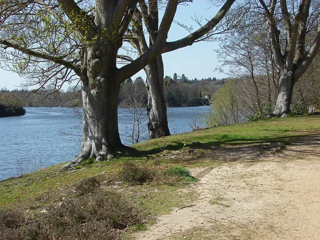 Virginia Water Lake — Windsor Great Park, Surrey